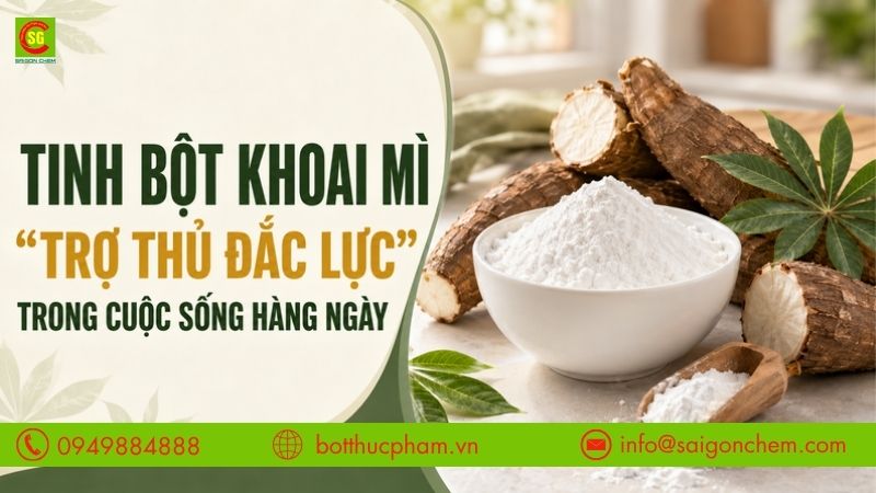TINH BỘT KHOAI MÌ “TRỢ THỦ ĐẮC LỰC” TRONG CUỘC SỐNG HÀNG NGÀY